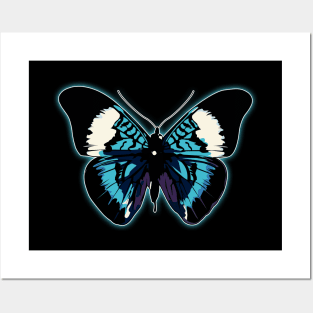 Exotic Butterfly Posters and Art